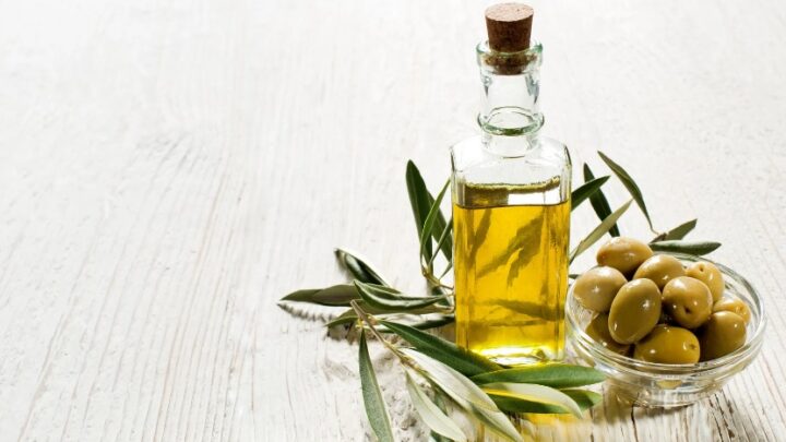 Nocellara del Belice DOP: Il Tesoro Verde della Sicilia