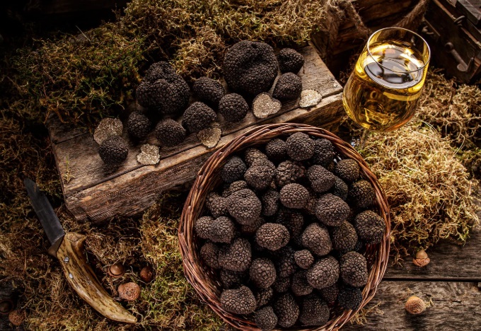 Alla Scoperta del Tartufo: Una Tradizione del Territorio